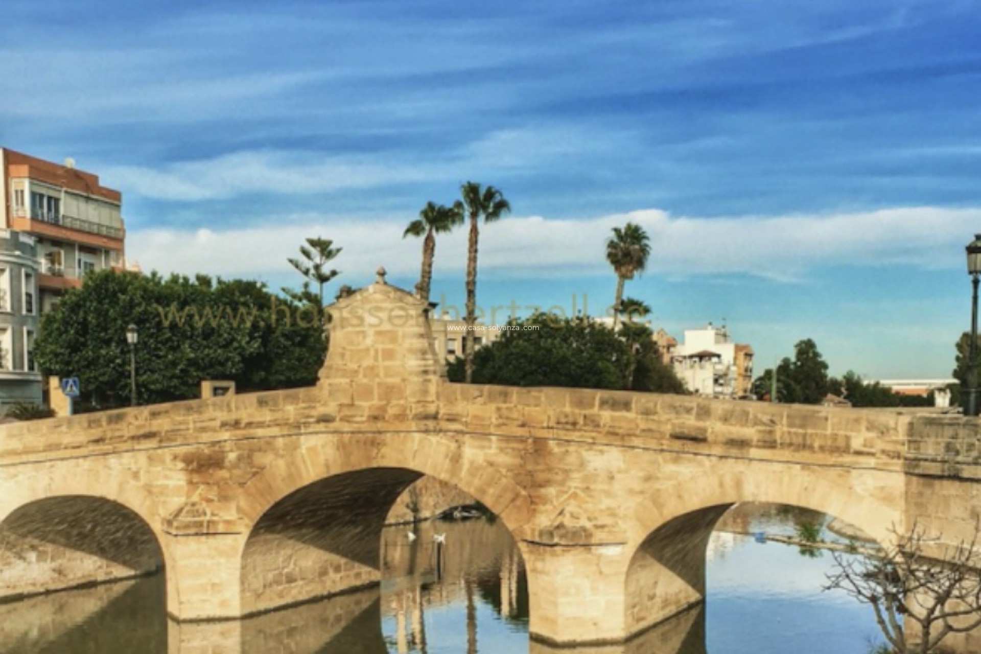 Resale - Country Property/Finca - Rojales - 0