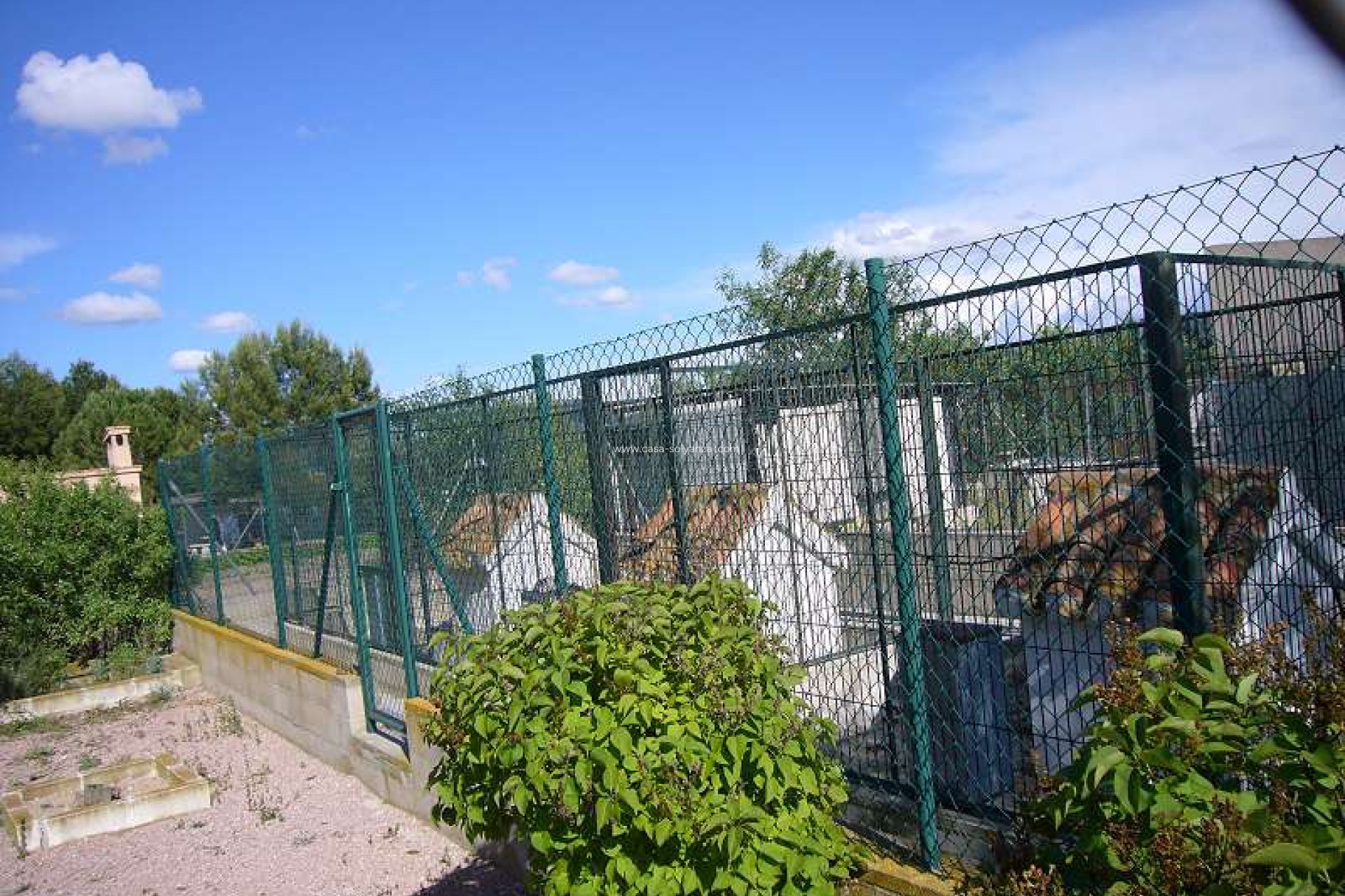 Resale - Country Property/Finca - Salinas - Inland