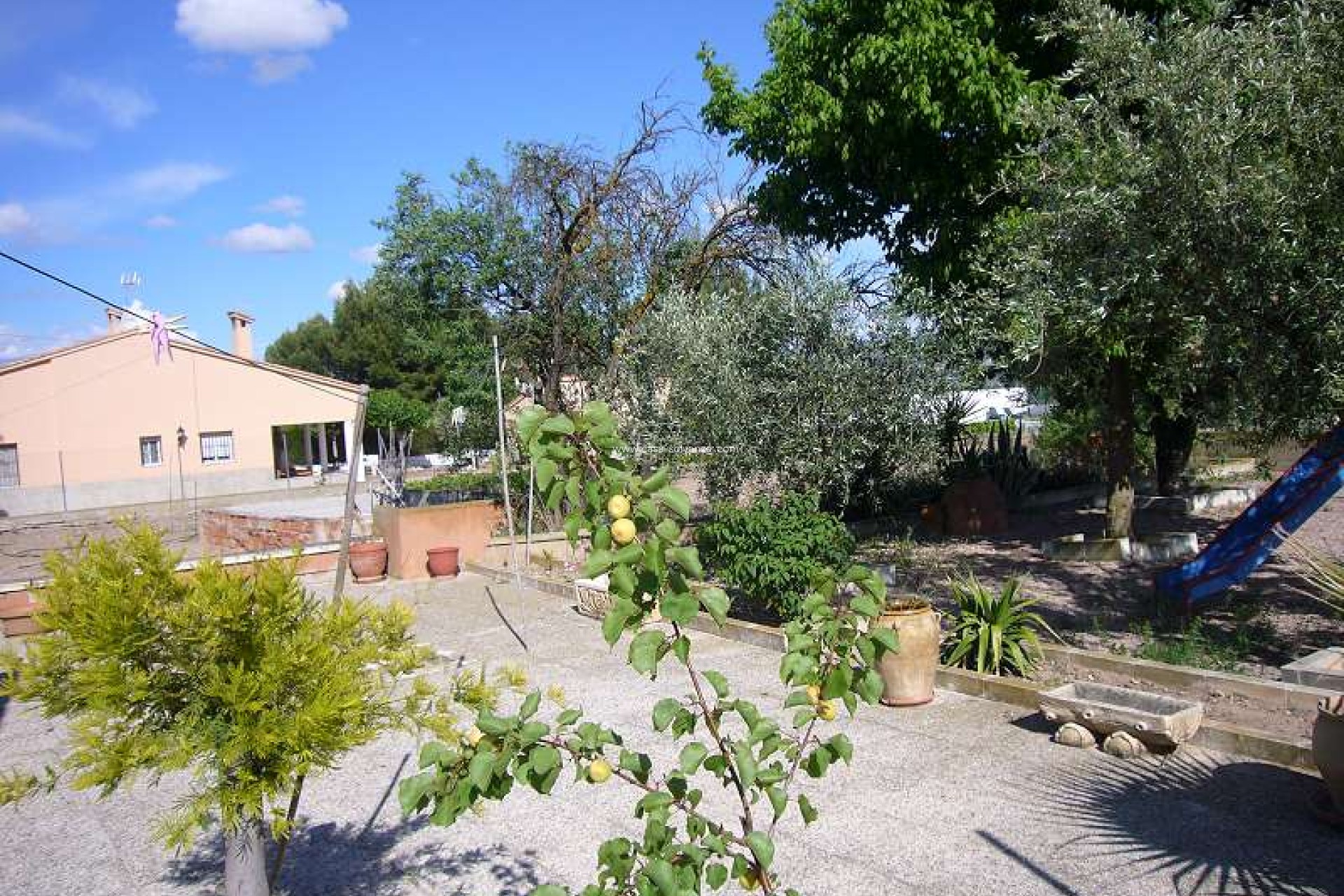 Resale - Country Property/Finca - Salinas - Inland