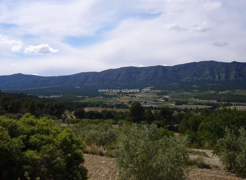 Resale - Country Property/Finca - Salinas - Inland