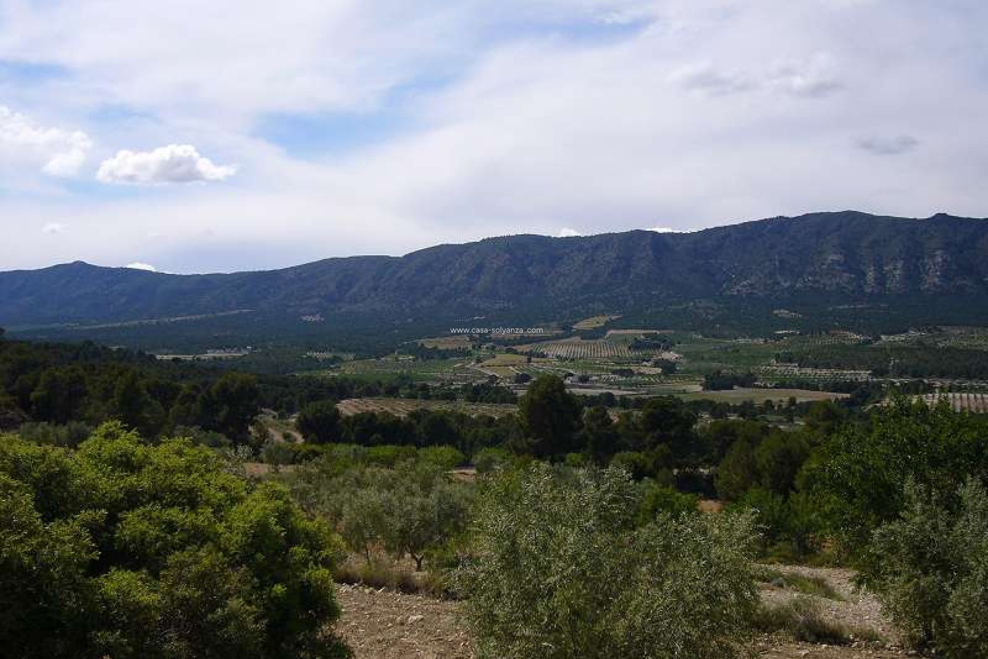 Resale - Country Property/Finca - Salinas - Inland