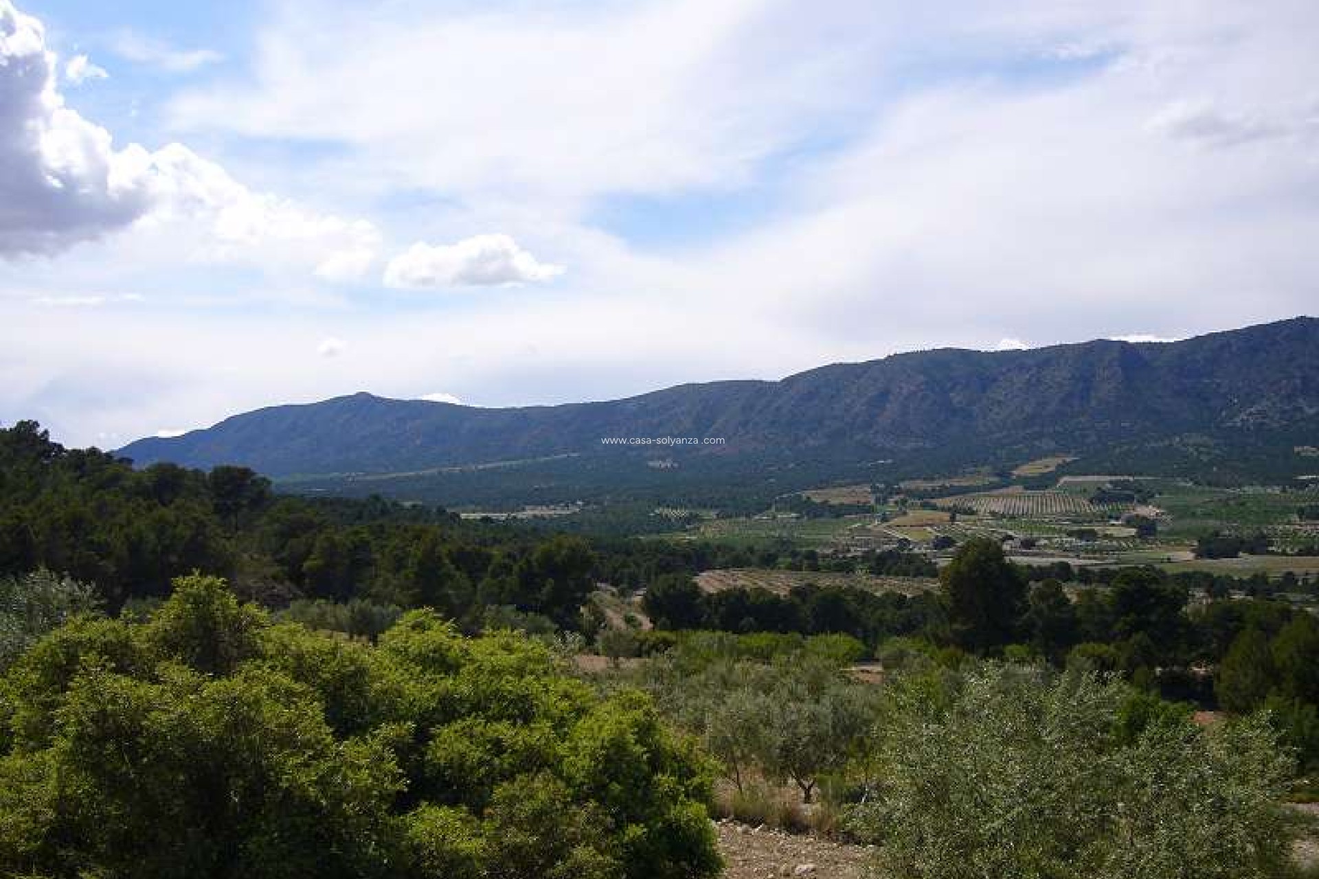 Resale - Country Property/Finca - Salinas - Inland