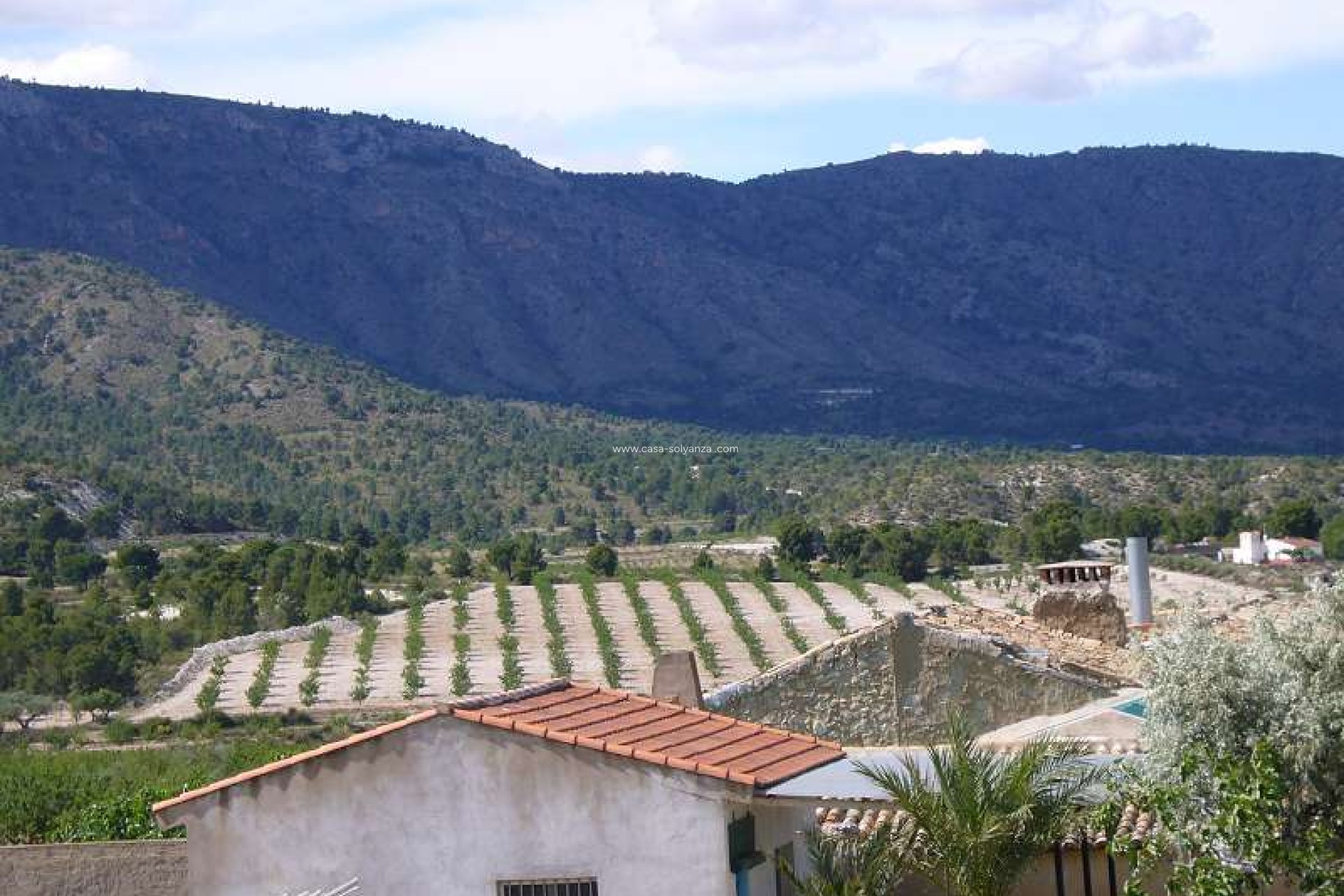 Resale - Country Property/Finca - Salinas - Inland