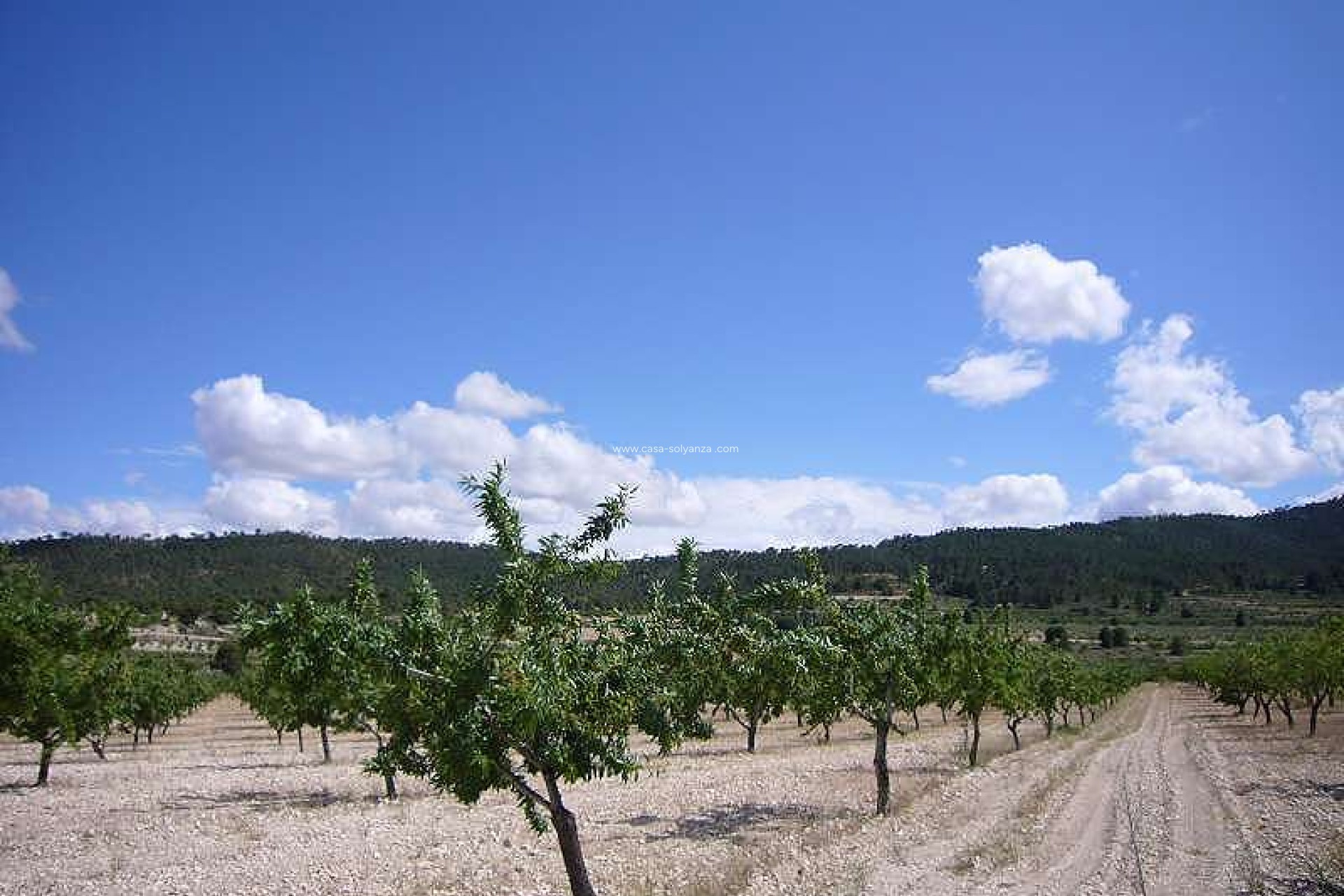 Resale - Country Property/Finca - Salinas - Inland