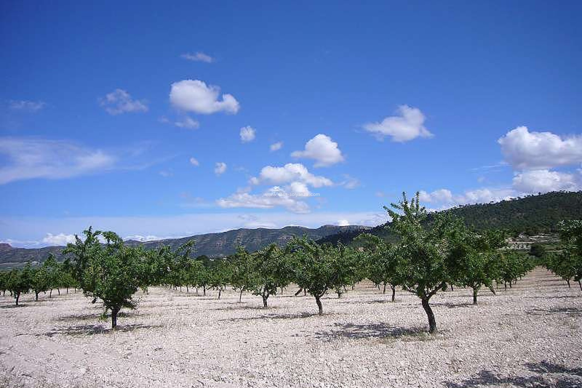 Resale - Country Property/Finca - Salinas - Inland