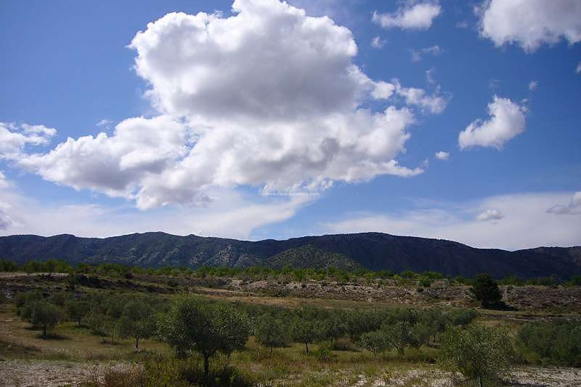 Resale - Country Property/Finca - Salinas - Inland