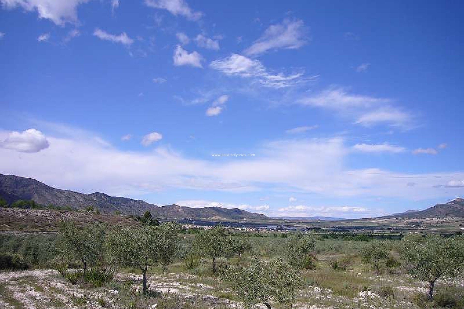 Resale - Country Property/Finca - Salinas - Inland