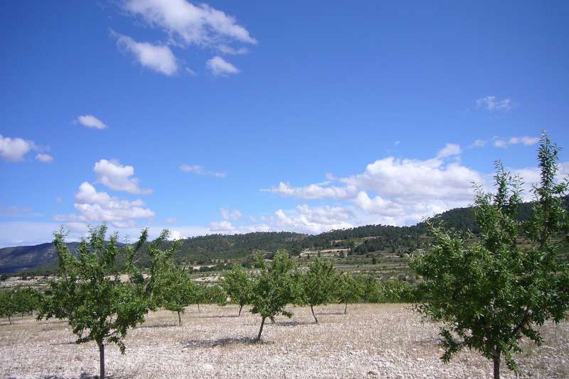 Resale - Country Property/Finca - Salinas - Inland