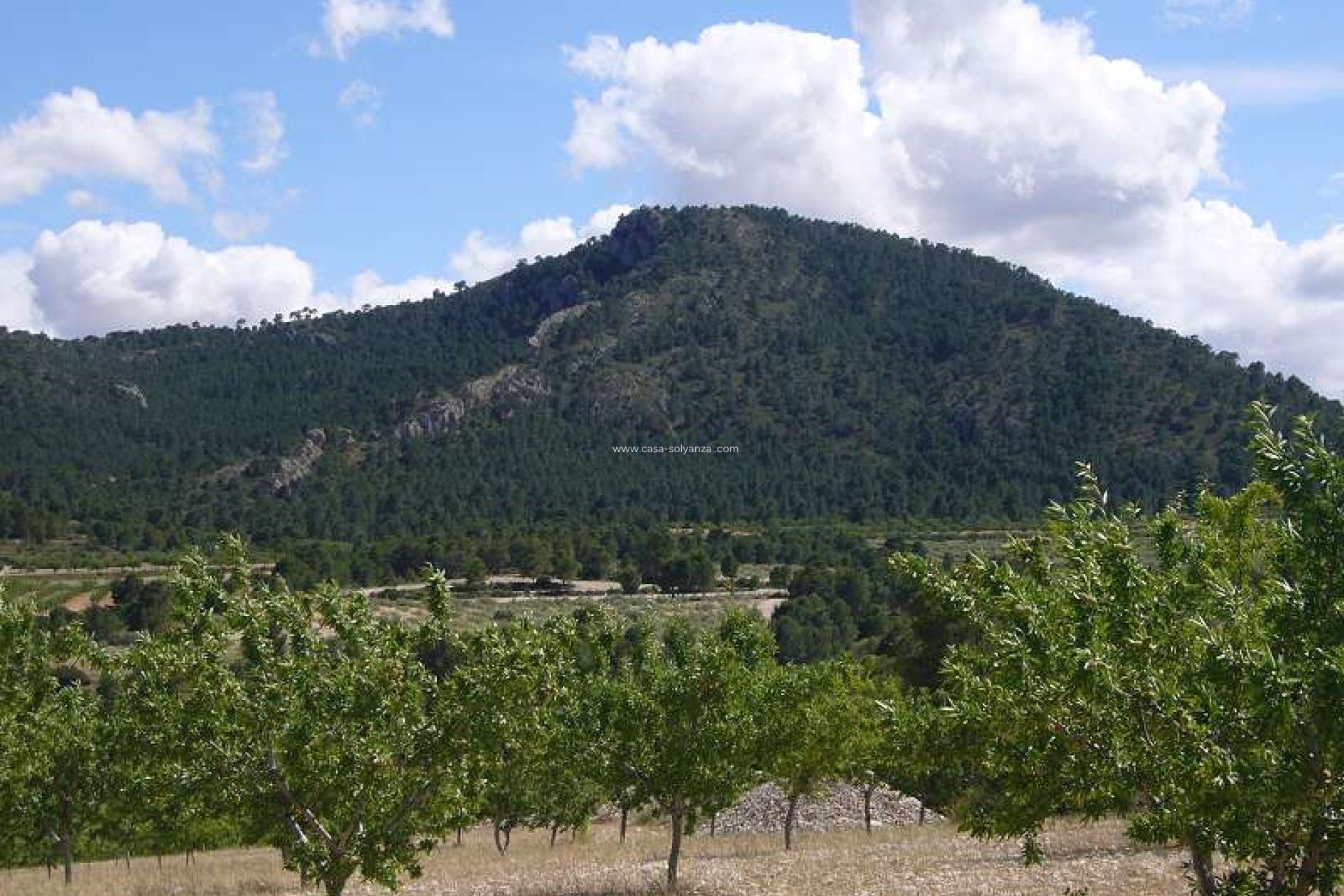 Resale - Country Property/Finca - Salinas - Inland