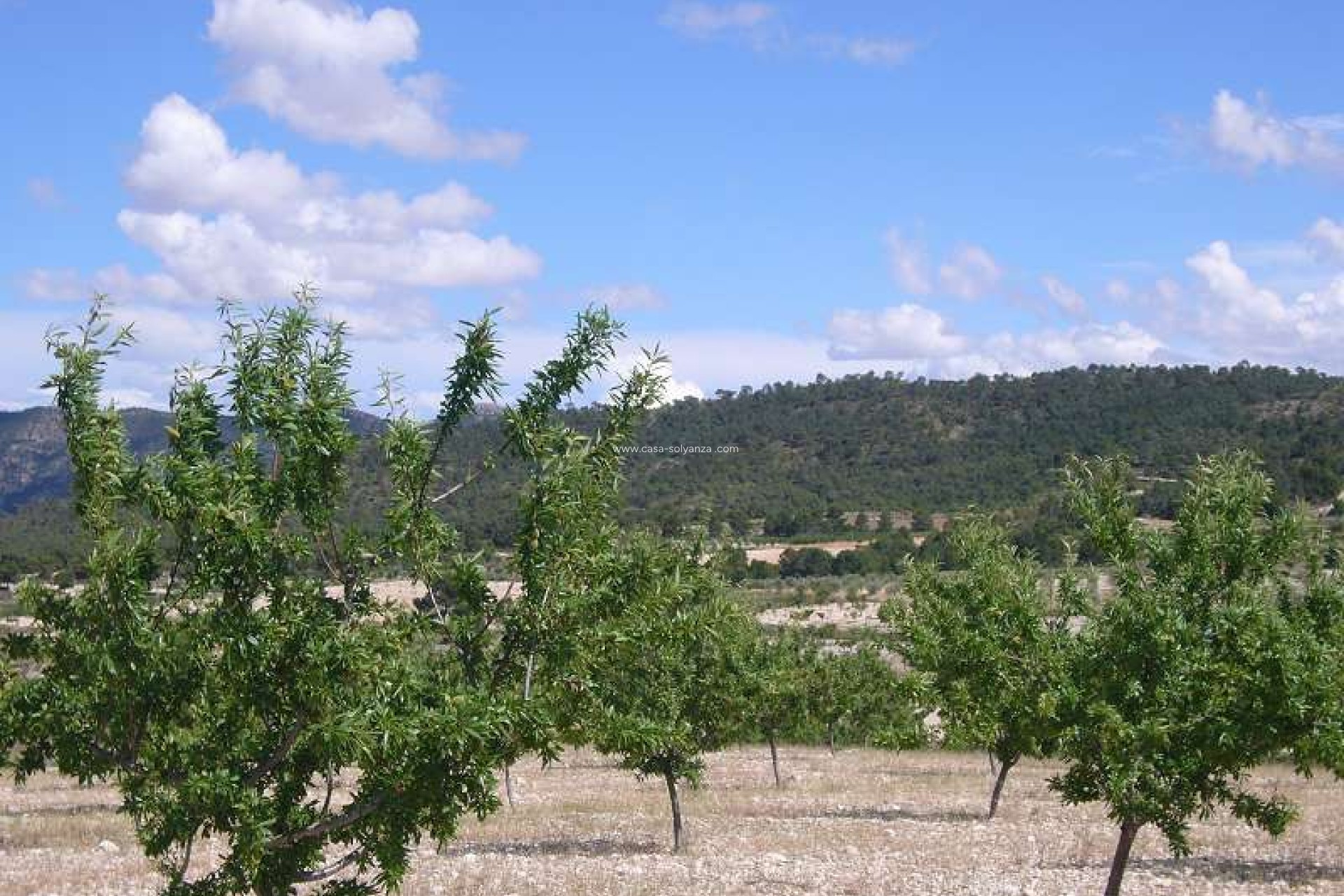 Resale - Country Property/Finca - Salinas - Inland