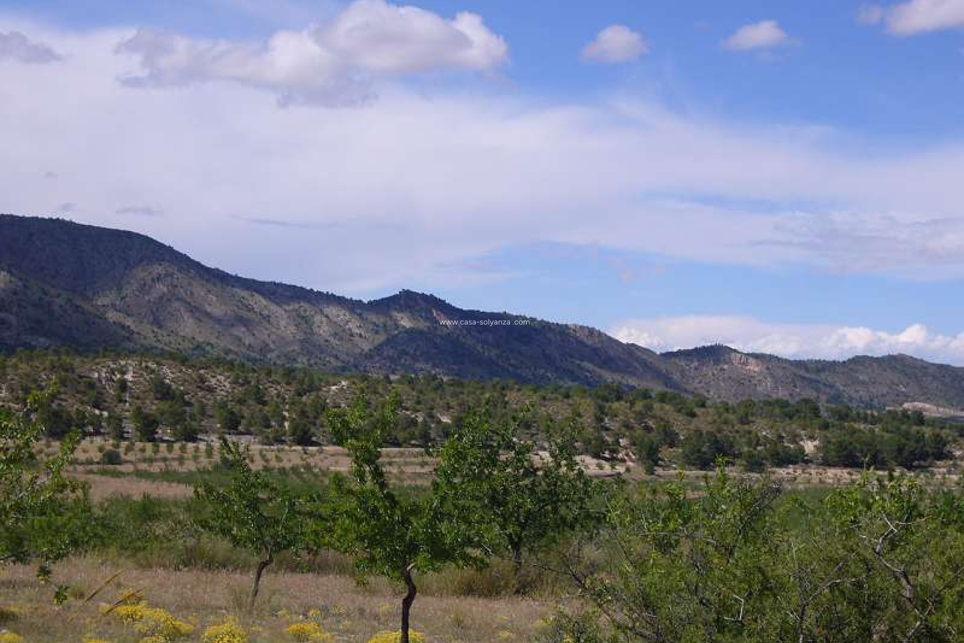 Resale - Country Property/Finca - Salinas - Inland