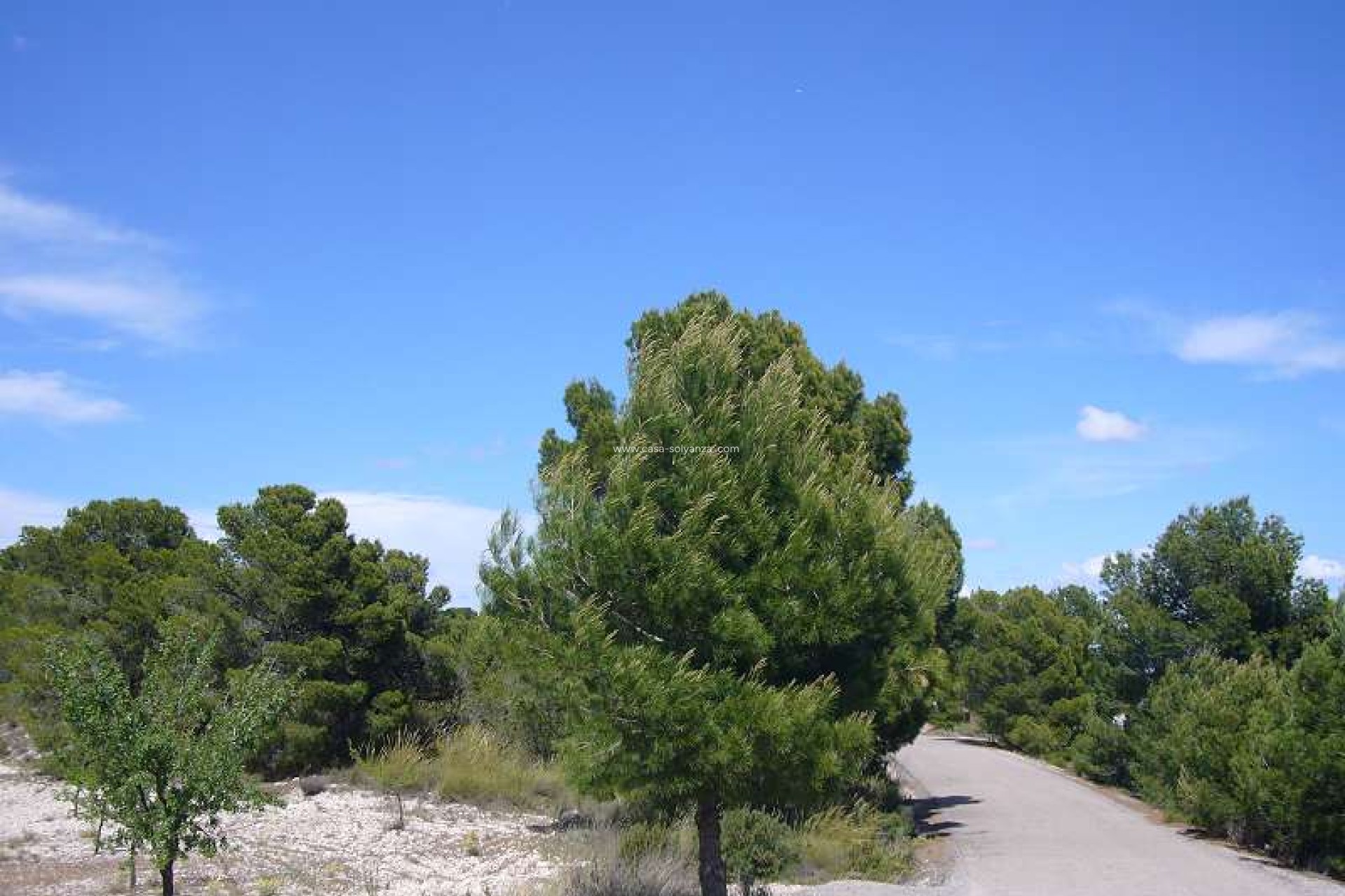 Resale - Country Property/Finca - Salinas - Inland