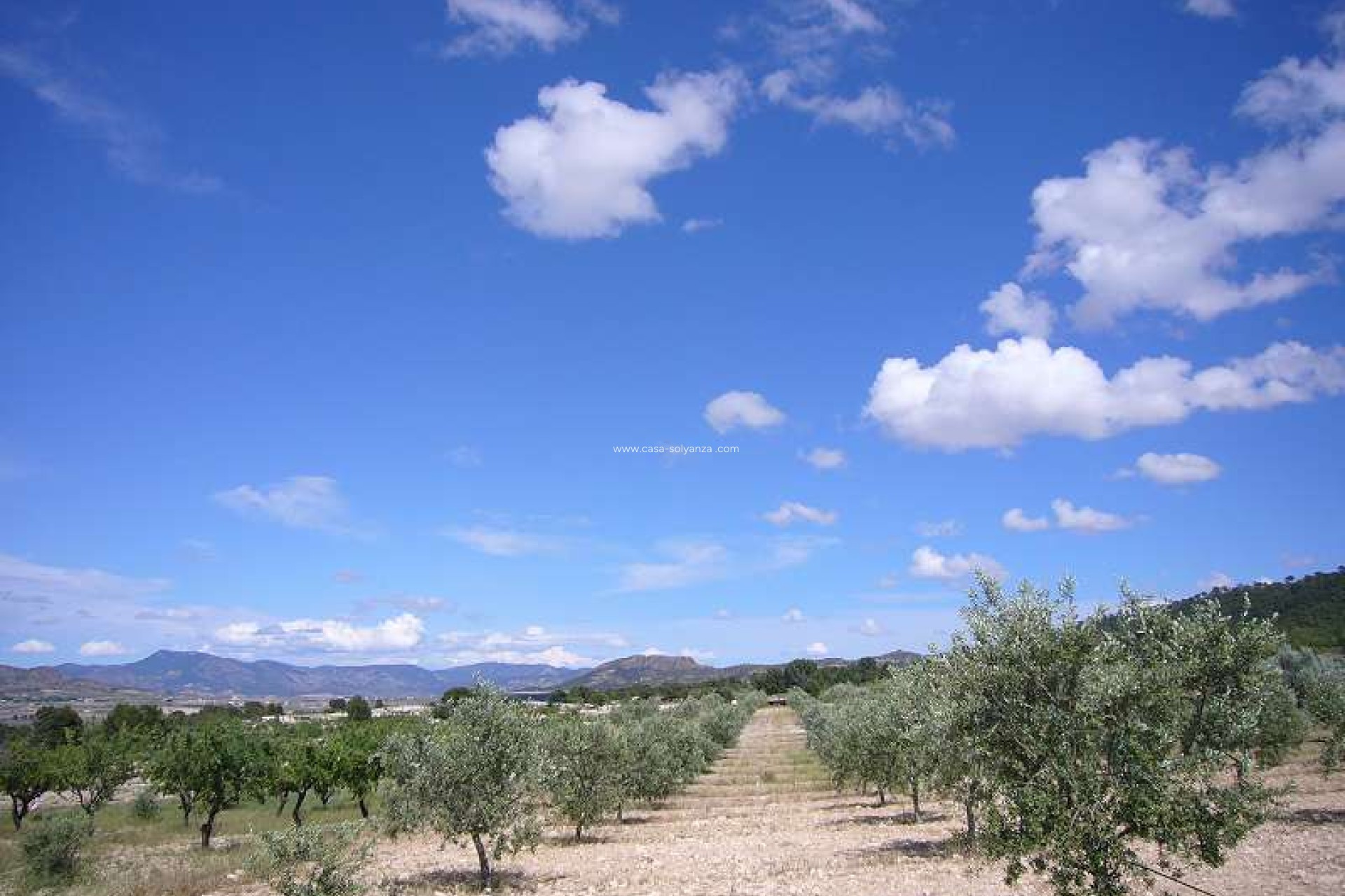 Resale - Country Property/Finca - Salinas - Inland