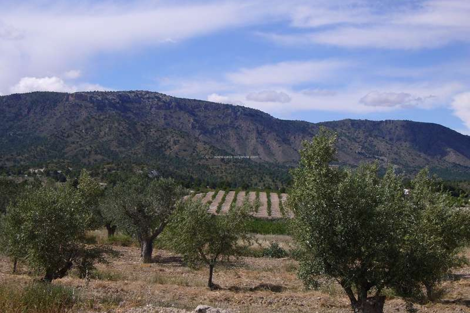 Resale - Country Property/Finca - Salinas - Inland