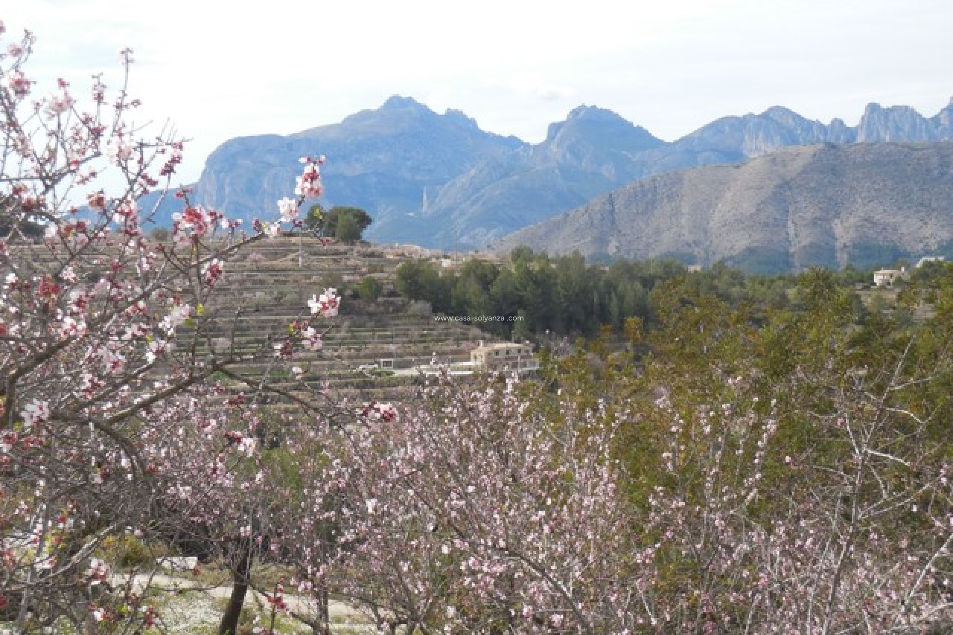 Resale - Country Property/Finca - Tárbena - Inland