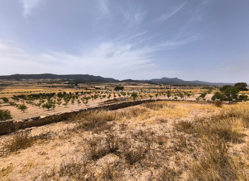Resale - Country Property/Finca - Torre Del Rico - Inland