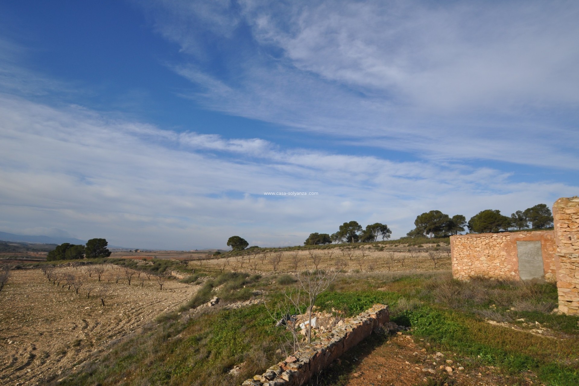 Resale - Country Property/Finca - Torre Del Rico - Inland