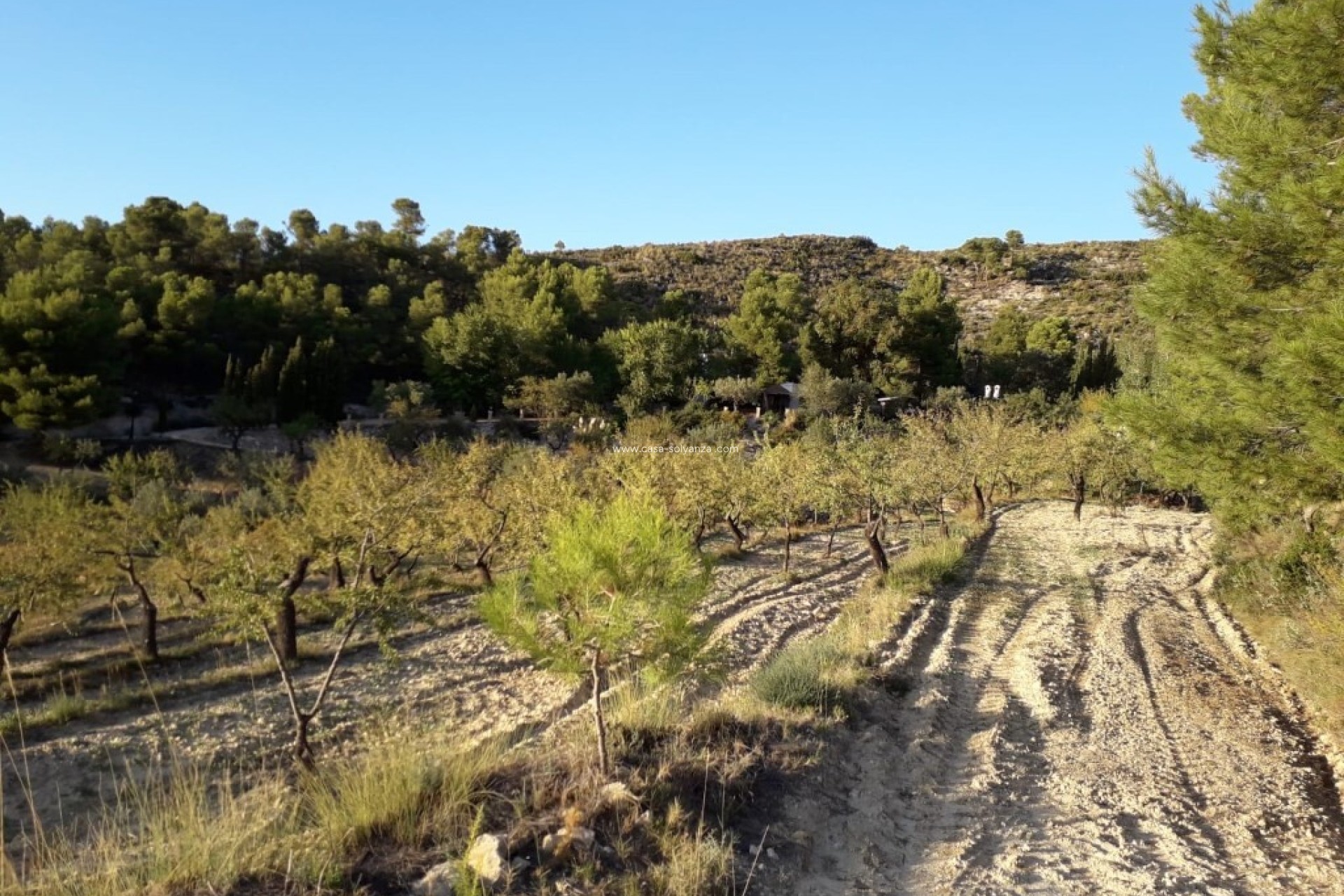 Resale - Country Property/Finca - Torremanzanas - Costa Blanca