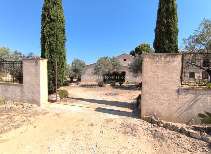 Resale - Country Property/Finca - Villena - Inland