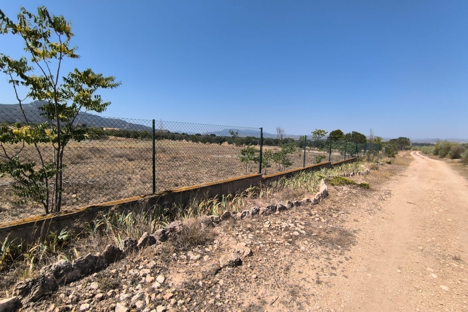 Resale - Country Property/Finca - Villena - Inland