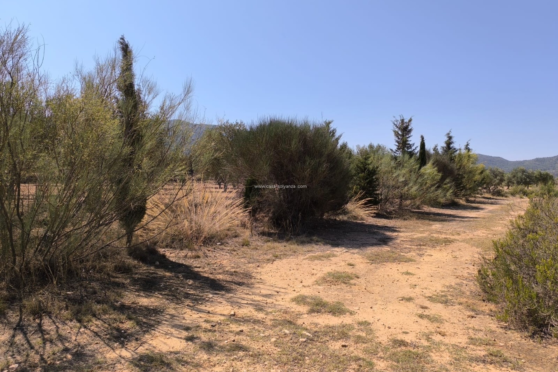 Resale - Country Property/Finca - Villena - Inland