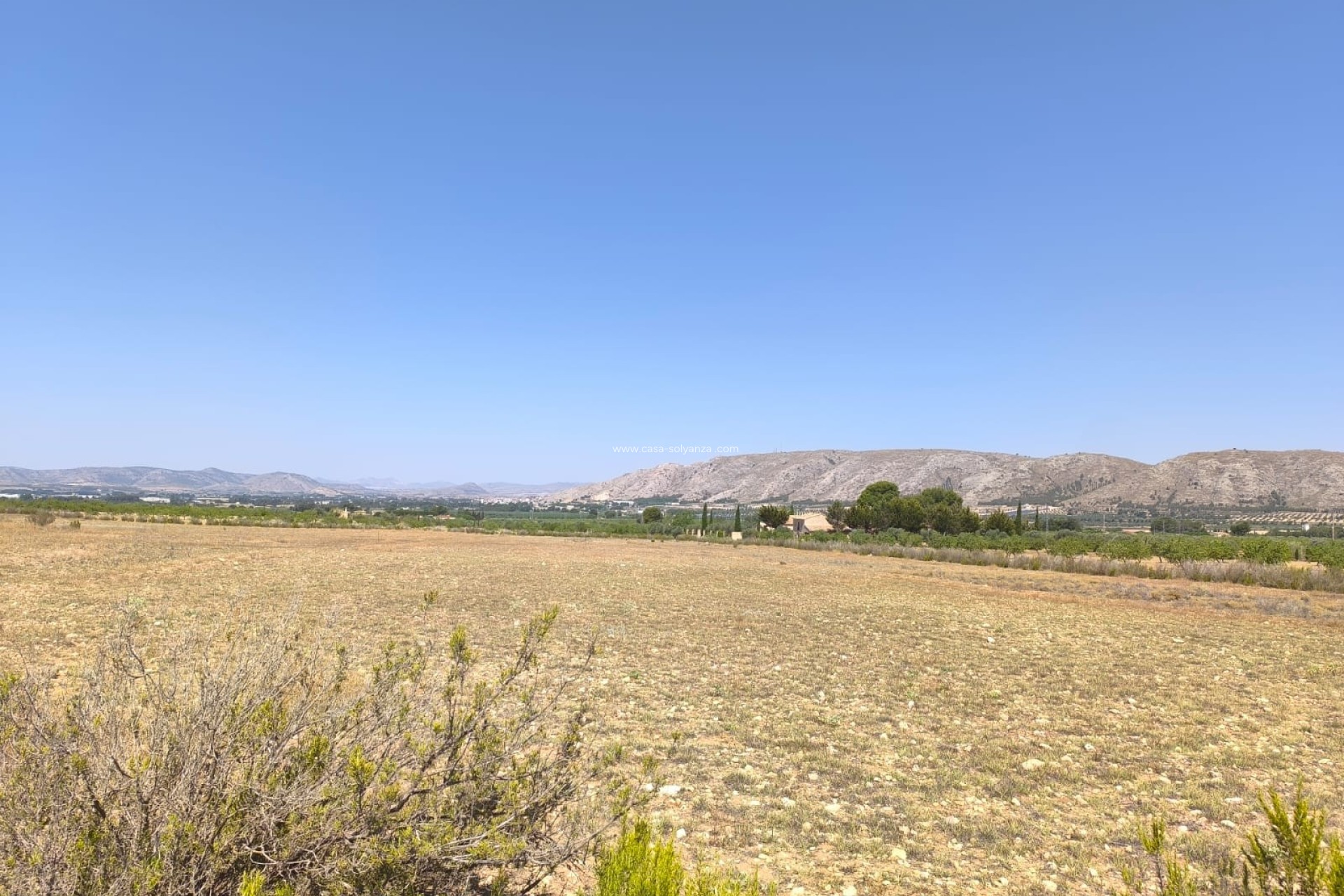Resale - Country Property/Finca - Villena - Inland
