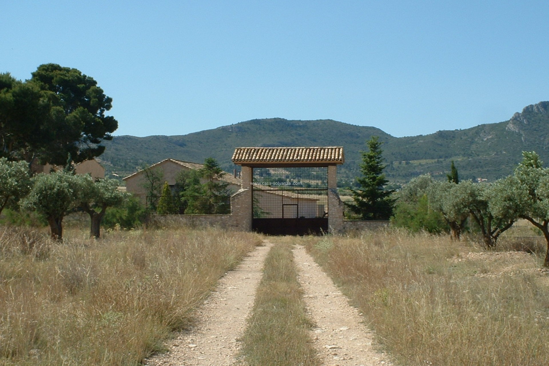Resale - Country Property/Finca - Villena - Inland