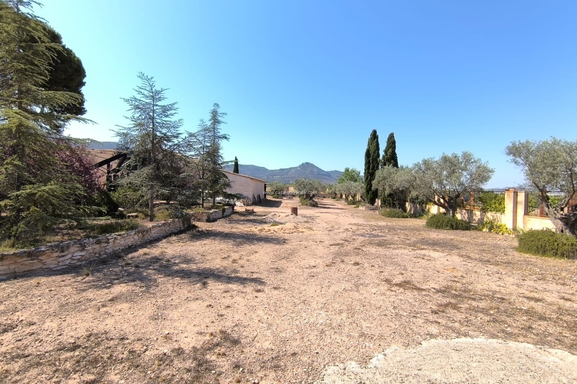 Resale - Country Property/Finca - Villena - Inland