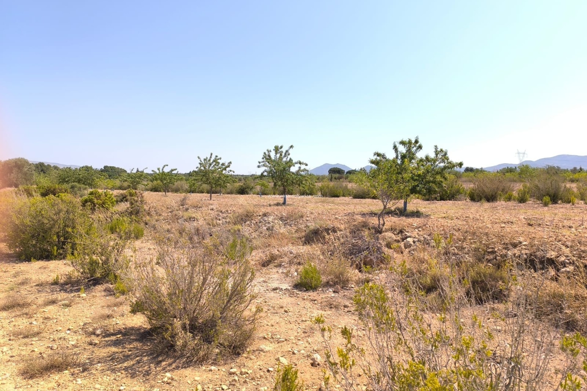 Resale - Country Property/Finca - Villena - Inland