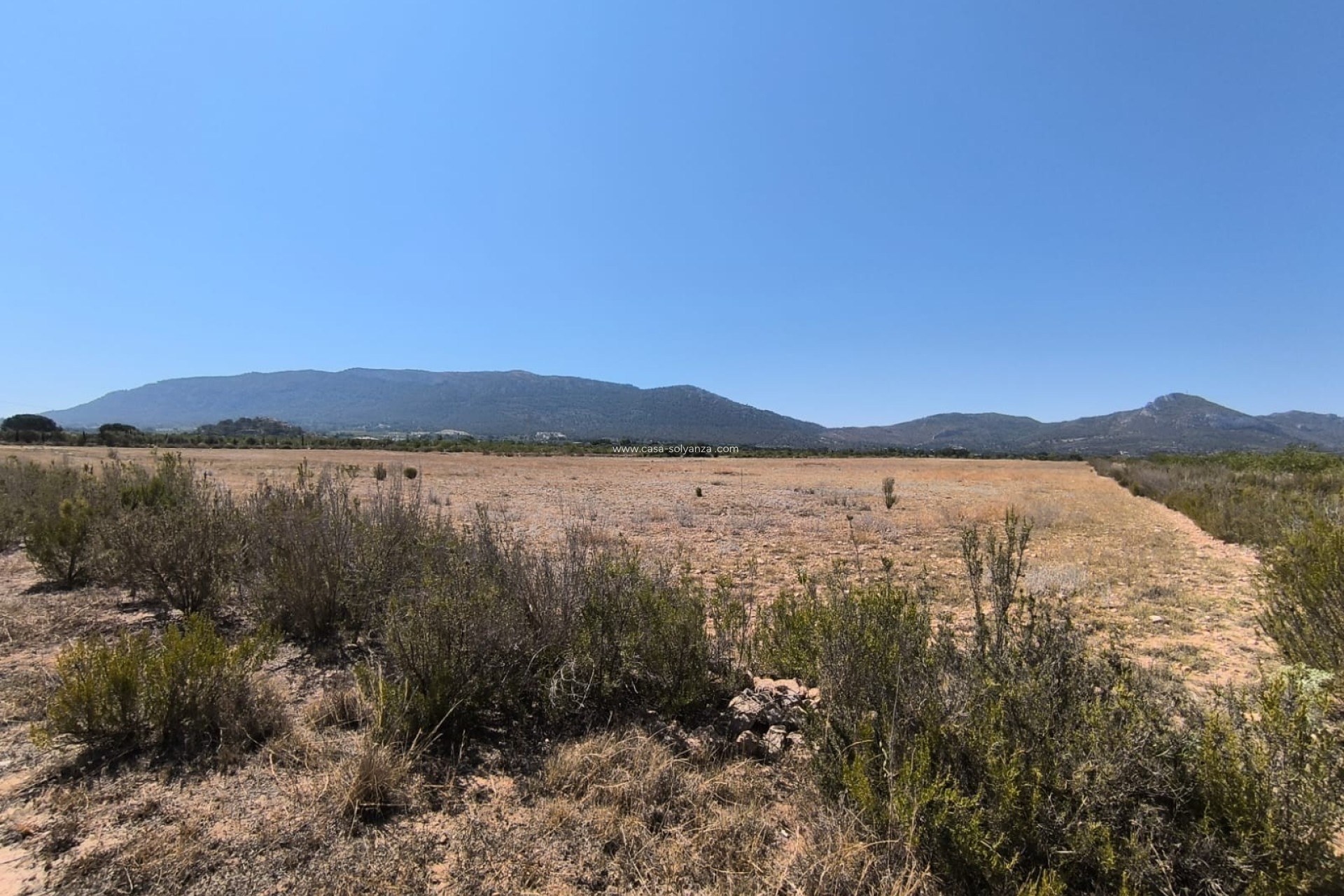 Resale - Country Property/Finca - Villena - Inland