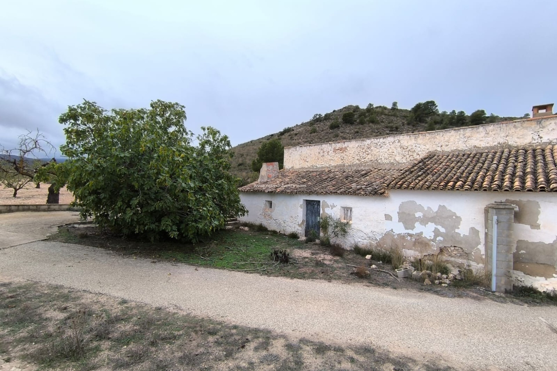 Resale - Country Property/Finca - Villena - Inland