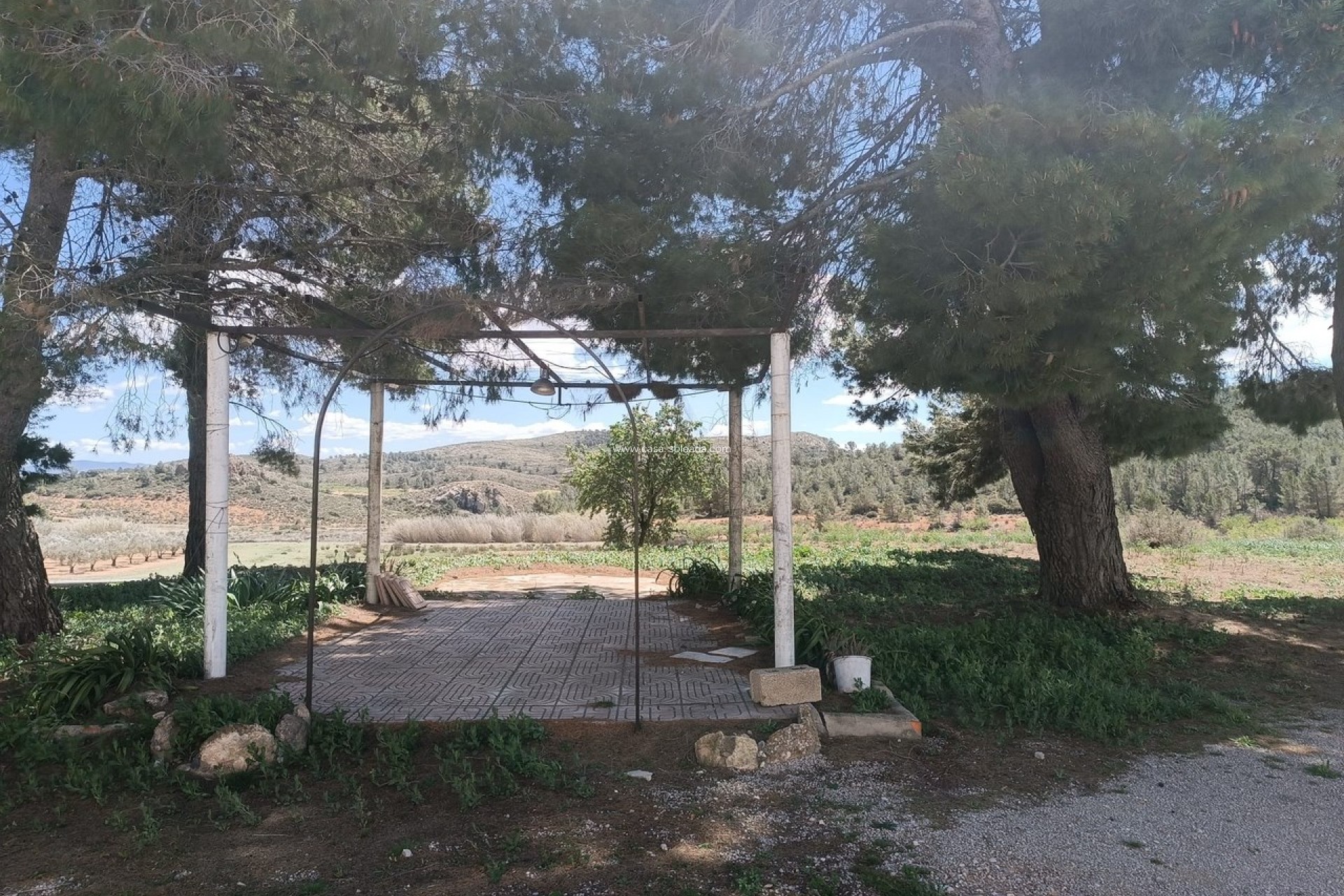Resale - Country Property/Finca - Yecla - Inland
