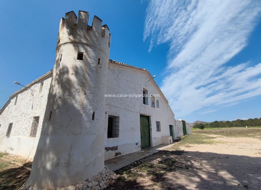 Resale - Country Property/Finca - Yecla - Inland