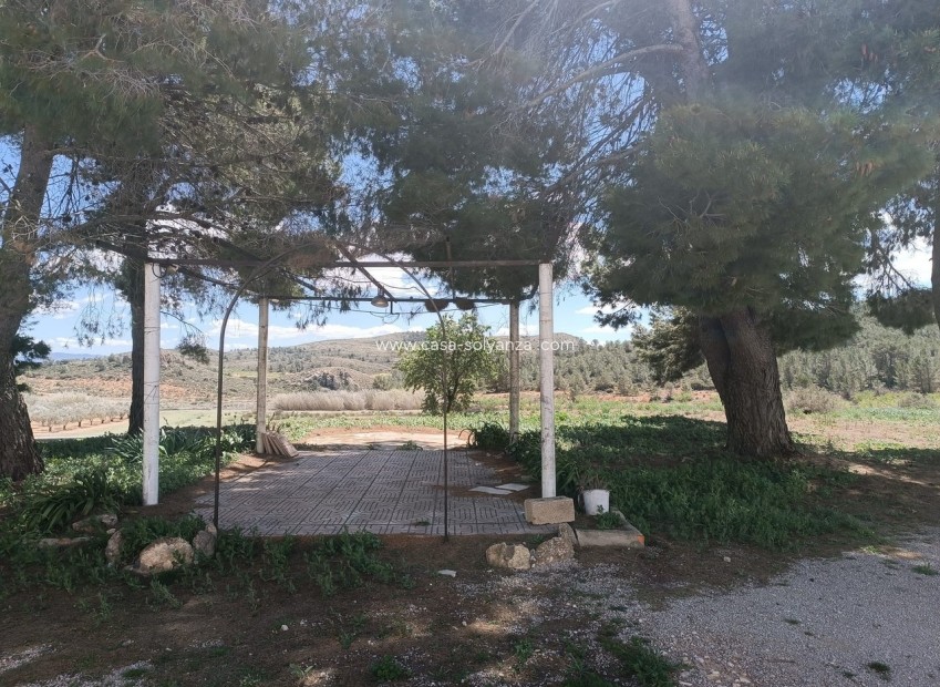 Resale - Country Property/Finca - Yecla - Inland