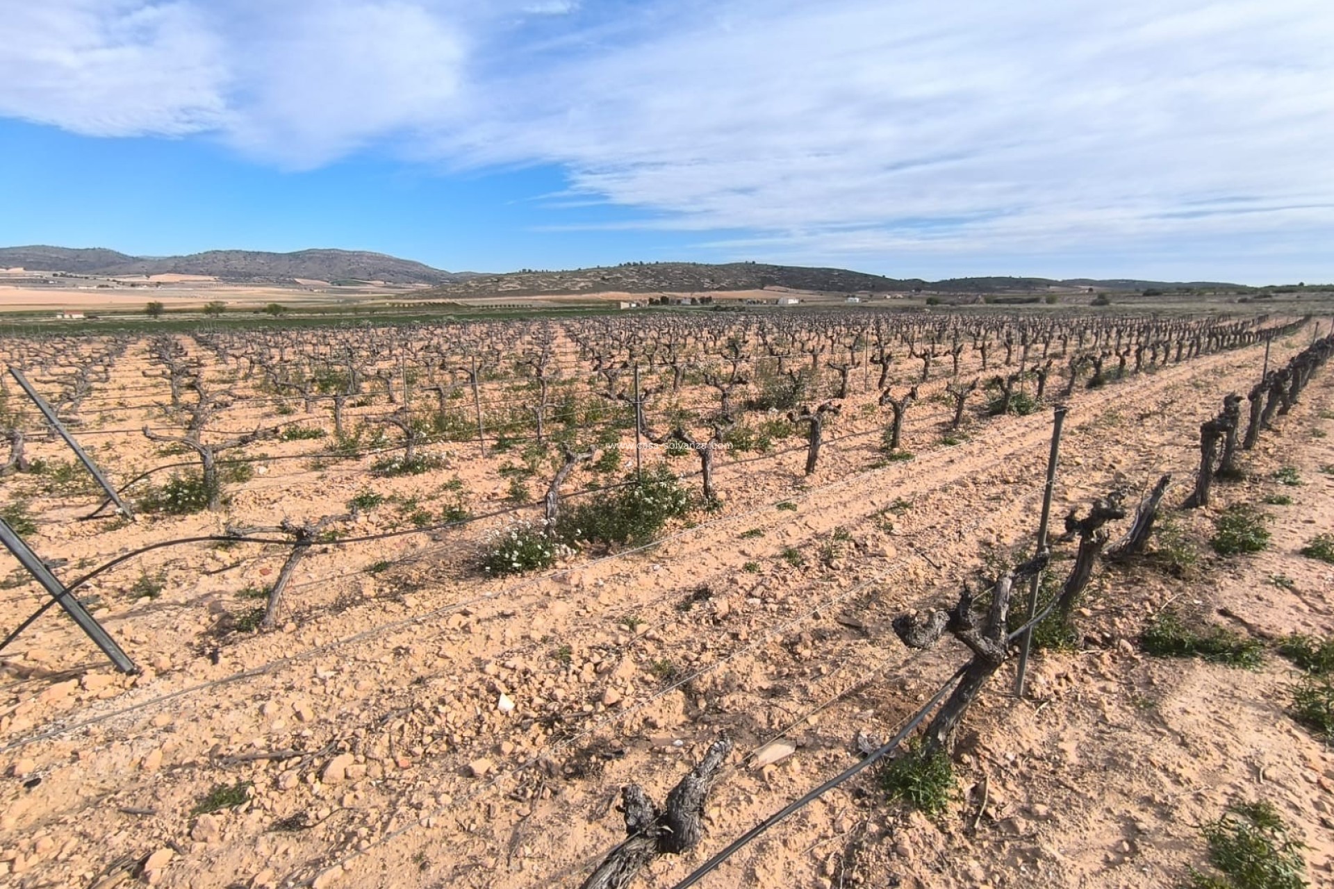 Resale - Country Property/Finca - Yecla - Inland