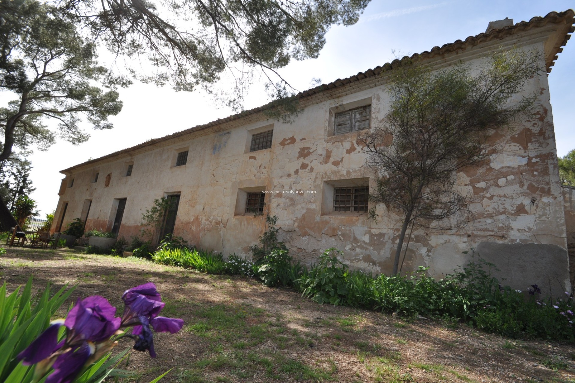 Resale - Country Property/Finca - Yecla - Inland