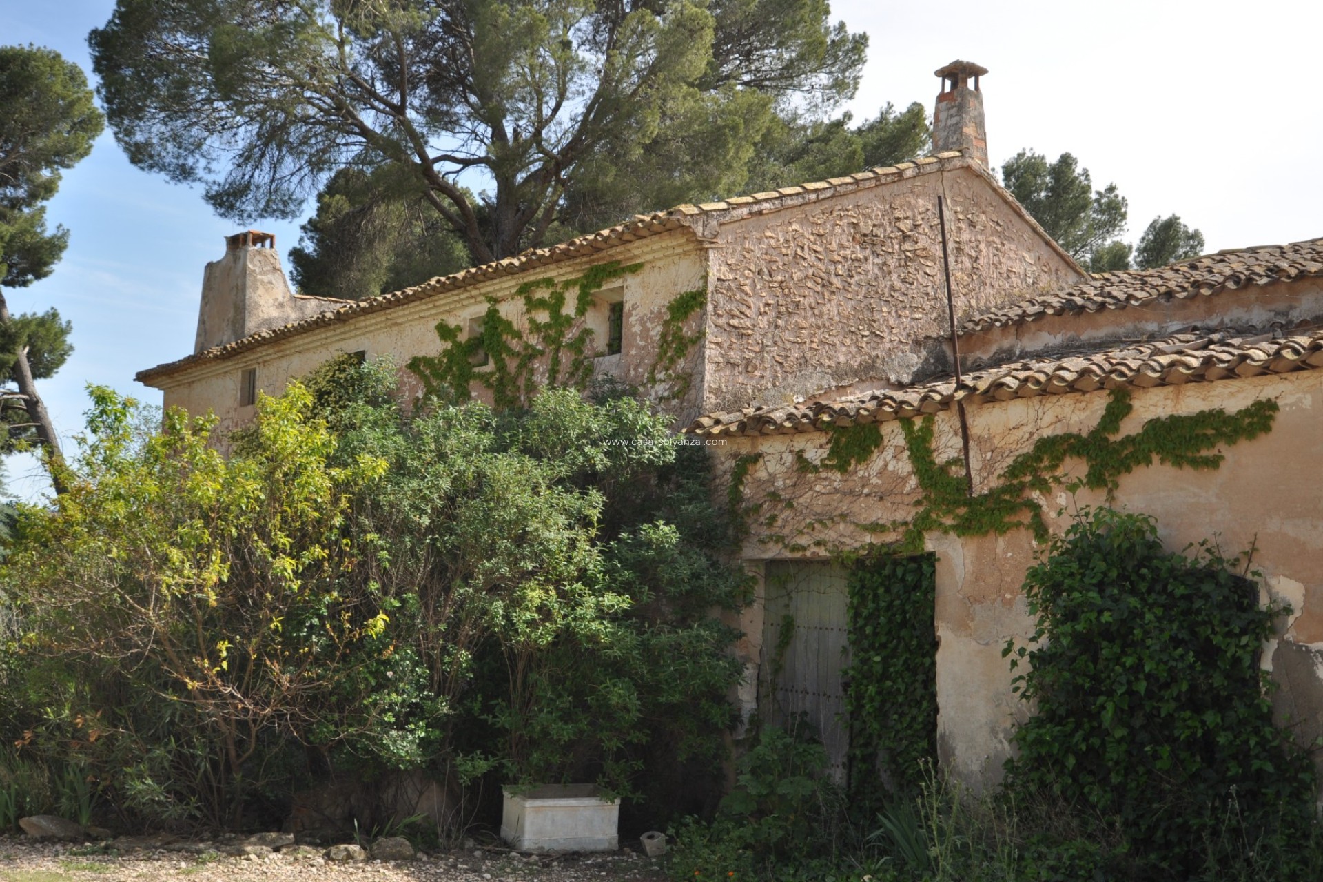 Resale - Country Property/Finca - Yecla - Inland