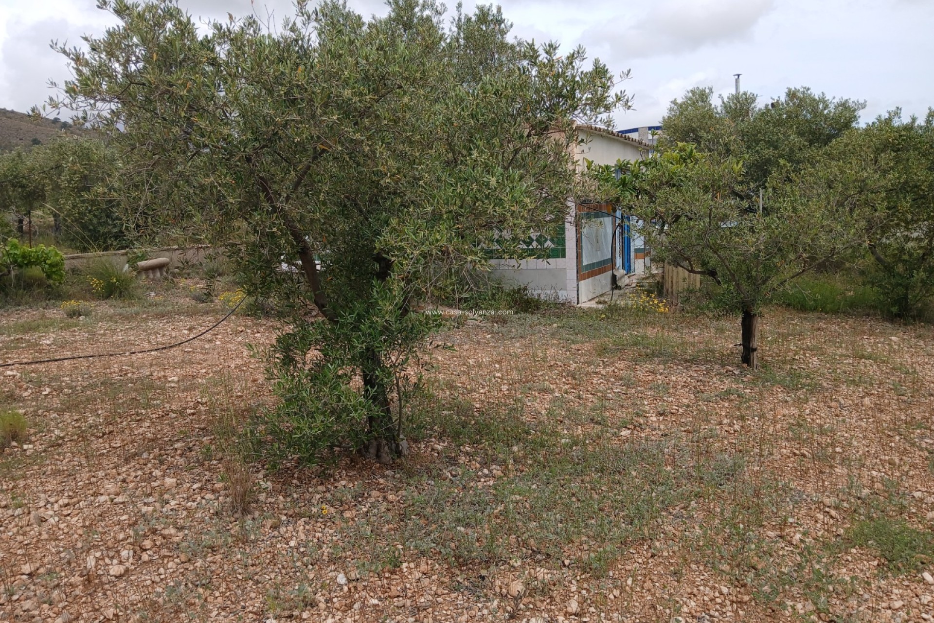 Resale - Country Property/Finca - Yecla - Inland