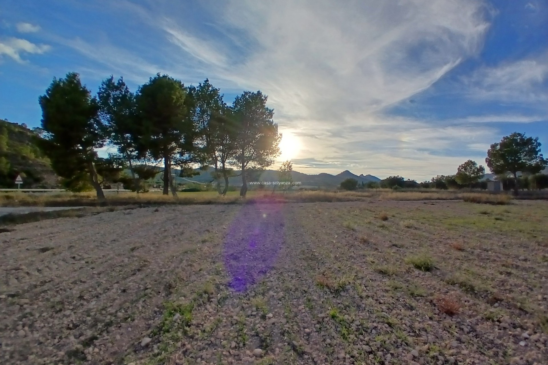 Resale - Country Property/Finca - Yecla - Inland