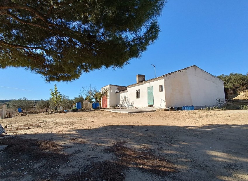 Resale - Country Property/Finca - Yecla - Inland