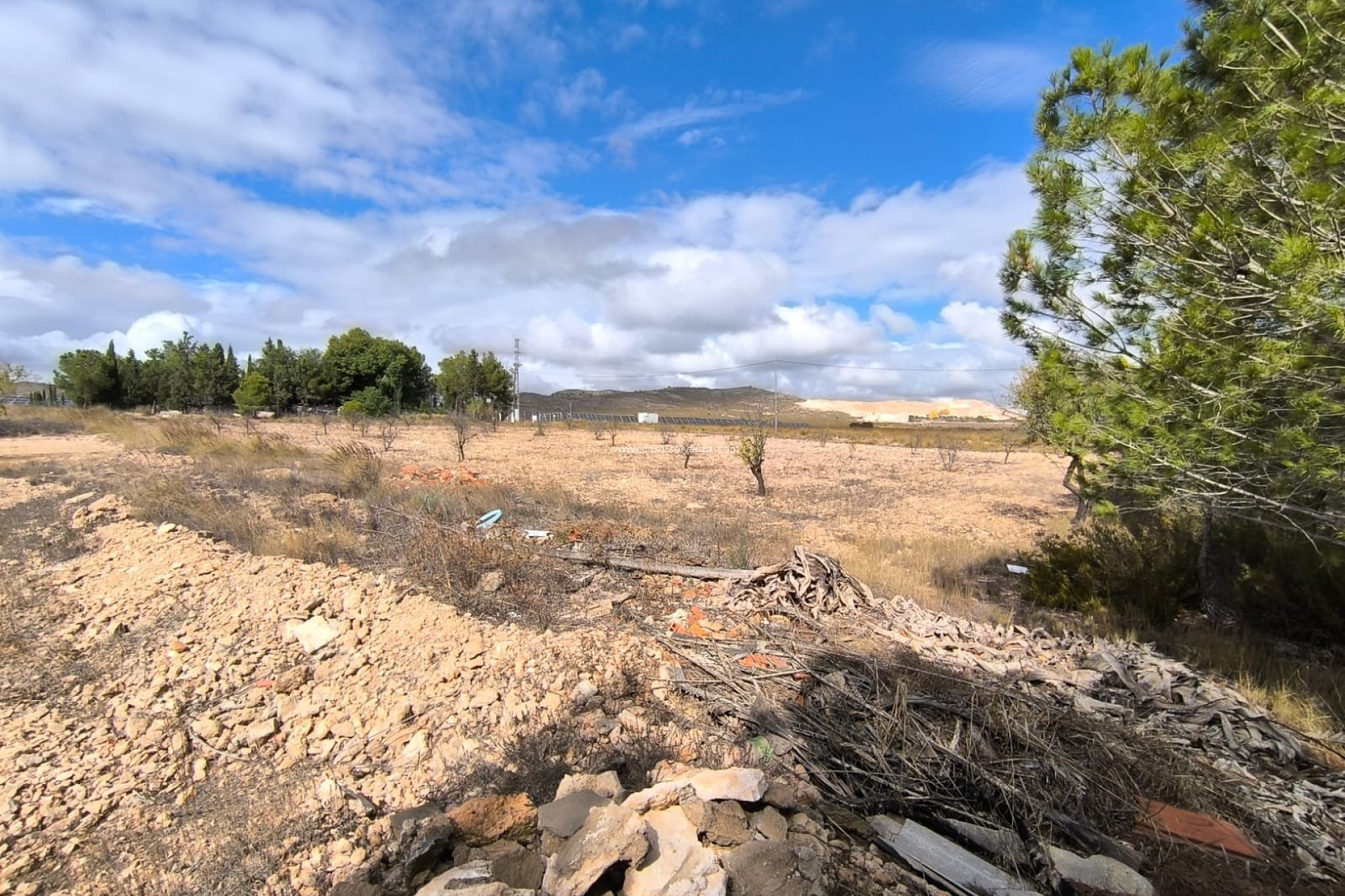 Resale - Country Property/Finca - Yecla - Inland