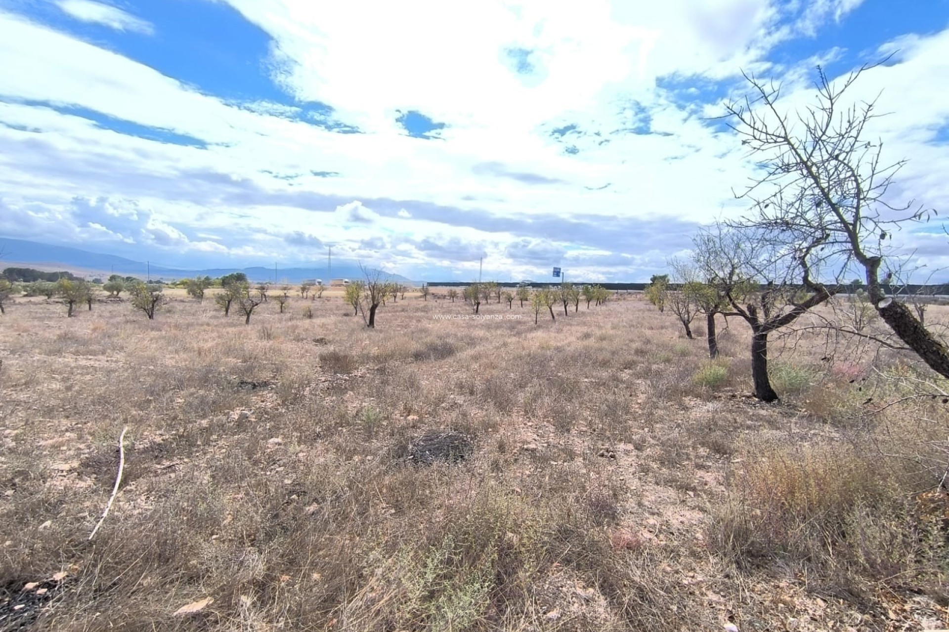 Resale - Country Property/Finca - Yecla - Inland