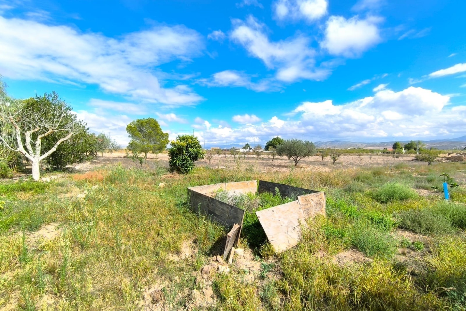 Resale - Country Property/Finca - Yecla - Inland
