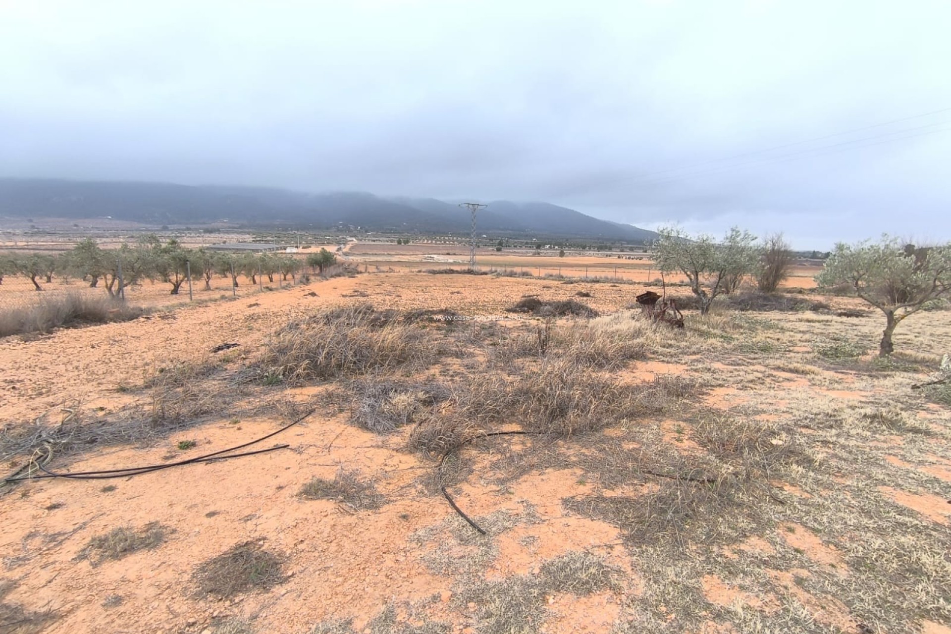 Resale - Country Property/Finca - Yecla - Inland