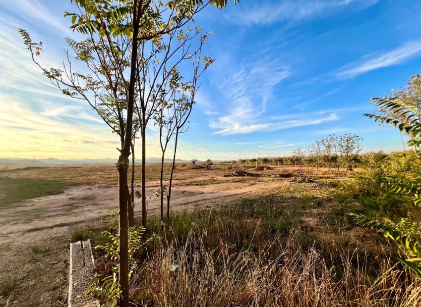 Resale - Country Property/Finca - Yecla - Inland