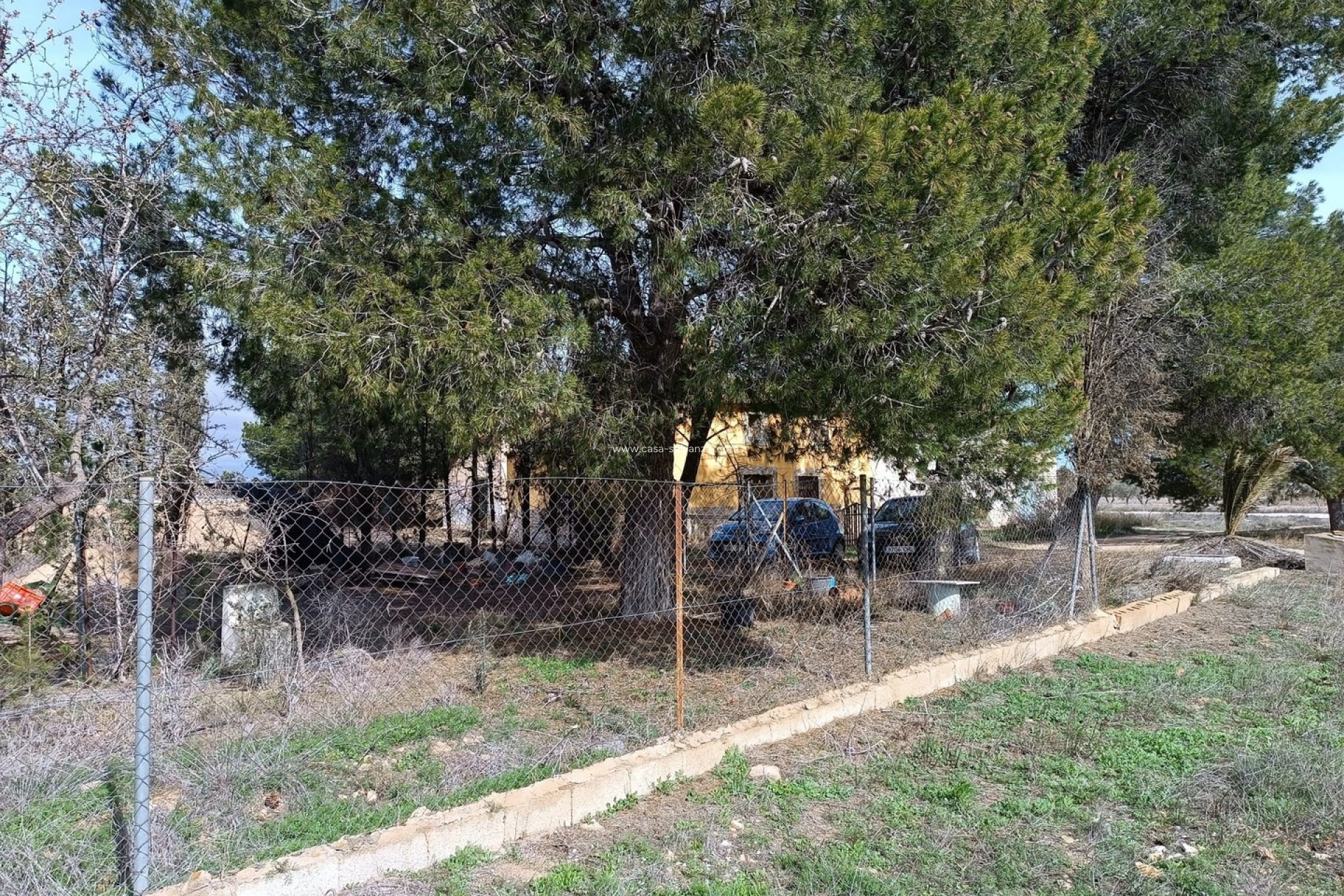 Resale - Country Property/Finca - Yecla - Inland