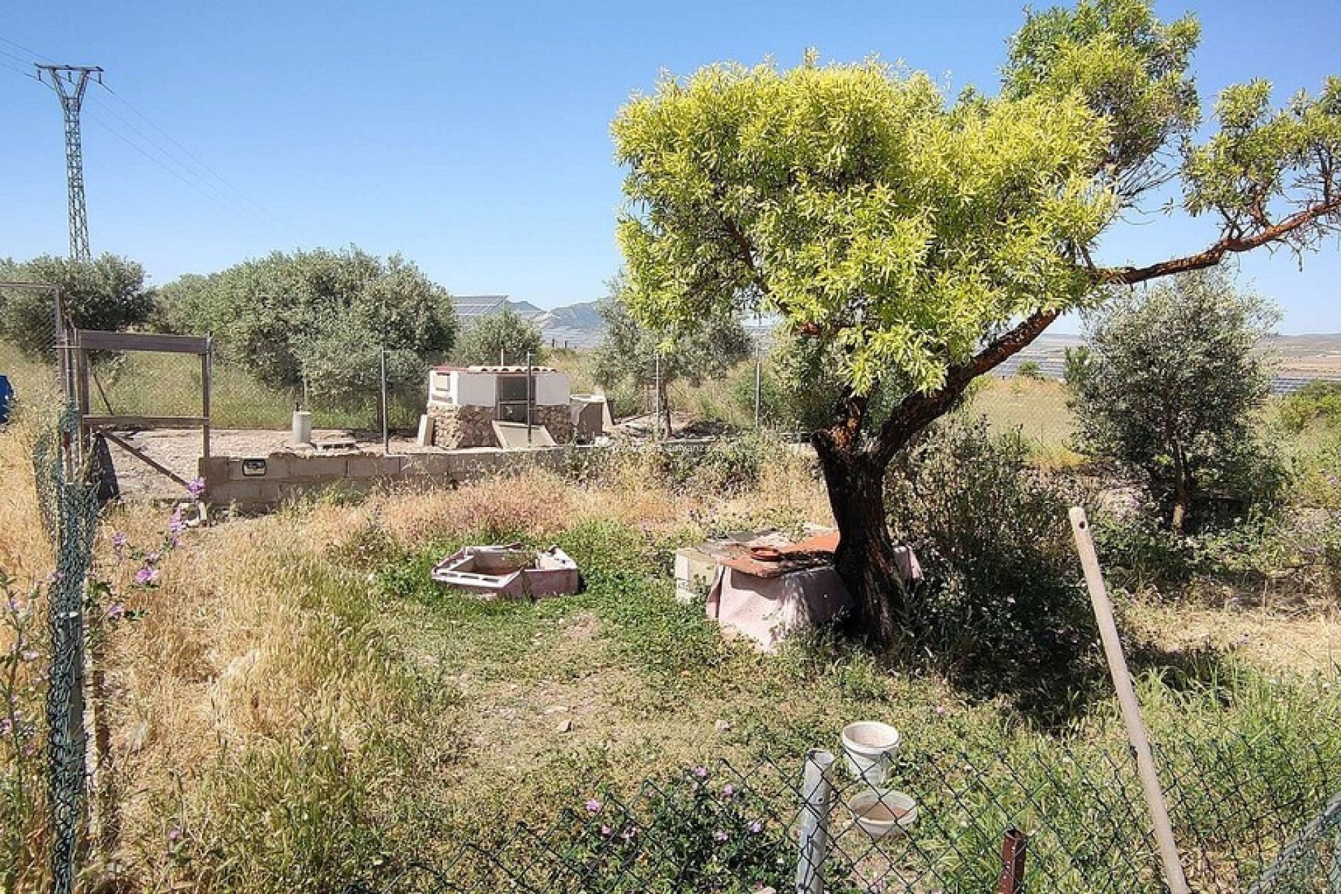 Resale - Country Property/Finca - Yecla - Inland