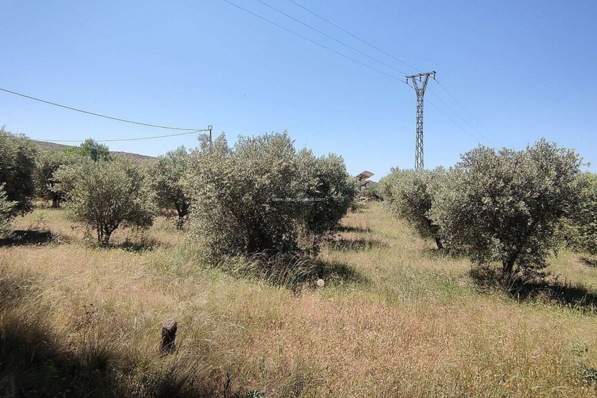 Resale - Country Property/Finca - Yecla - Inland
