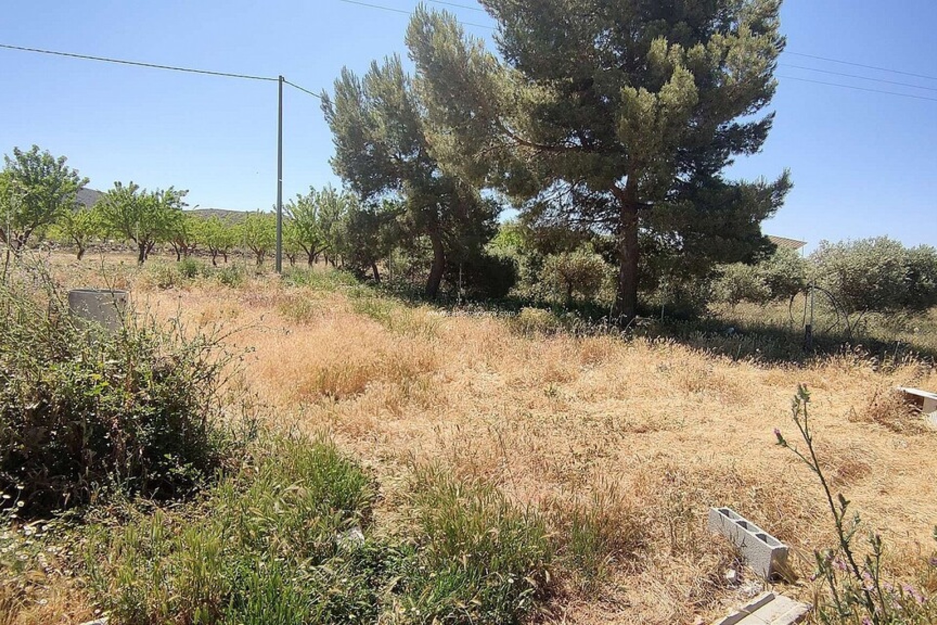 Resale - Country Property/Finca - Yecla - Inland