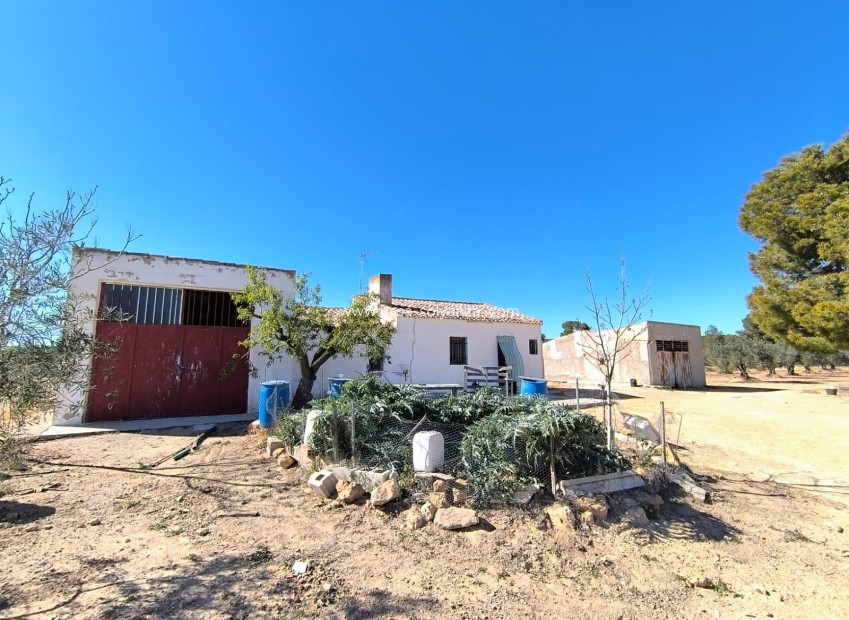 Resale - Country Property/Finca - Yecla - Inland